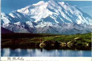 Nordansicht des Mt. McKinley, Alaska Postkarte - Bild 1 von 2