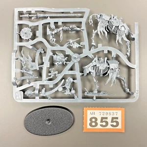 BARROW KNIGHT E WARHAMMER AOS SOULBLIGHT DEATHRATTLE MOUNTED SKELETON CAVALRY - Picture 1 of 1