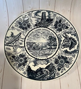 Blue and White Grand Canyon National Park Collector American Ironstone Plate 10" - Picture 1 of 6