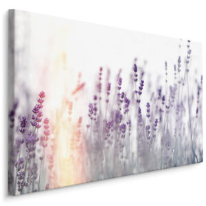 Leinwandbild Canvas Wandbilder Kunstdruck Keilrahmen Blumen Landschaft Lavendel