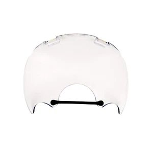 MSA Advantage 1000 Polycarbonate Lens Outsert (#806462) Medium/large - Picture 1 of 1