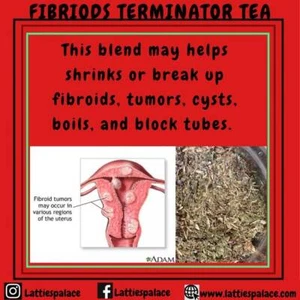 Fibriods Terminator - Picture 1 of 9