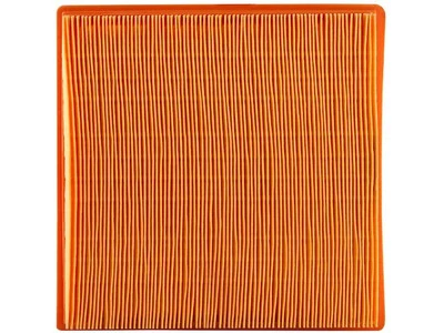 Filtro de aire para BMW 318ti 1995-1999 27777NDPR 1996 1997 1998 filtro de aire del motor Foto 1 de 2