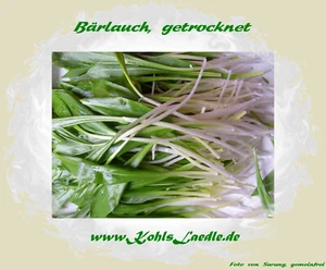 Bärlauch, geschnitten, getrocknet - 50g - Bild 1 von 4
