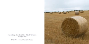 Greeting Card - Haymaking, Cleveland Way #Yorkshire - blank inside 6" x 6" - Picture 1 of 3