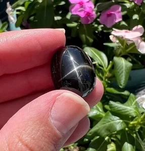 Black Star Sapphire Sri Lanka 4 Rays 10.00 Ct Oval Cabochon Natural Gemstone - Picture 1 of 6