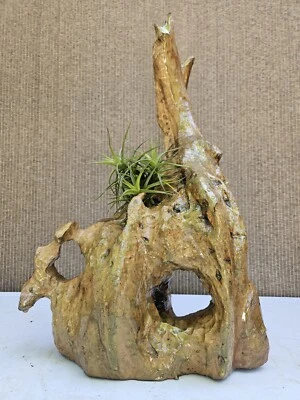 Maceta Bonsai Hecha a Medida de Olivo Viejo.,,,Venta  Foto 1 de 4