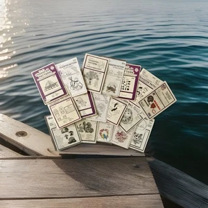 17 Pretty Punch/Iron On Patterns Embroidery Needlepoint - Picture 1 of 14