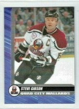 2000-01 Quad City Mallards (UHL) Steve Gibson