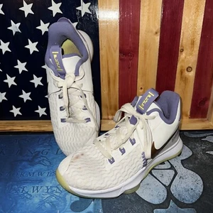 Size 8 - Nike LeBron Witness 5 Summit White Metallic Bronze - Picture 1 of 7