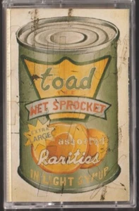 Toad The Wet Sprocket - In Light Syrup 1995 (Audio Cassette) Columbia CT 67394 - Foto 1 di 2