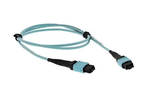 Cable Dell de 1 M de parche de fibra óptica MTP12-MTP12 - W4R30 - Imagen 1 de 1
