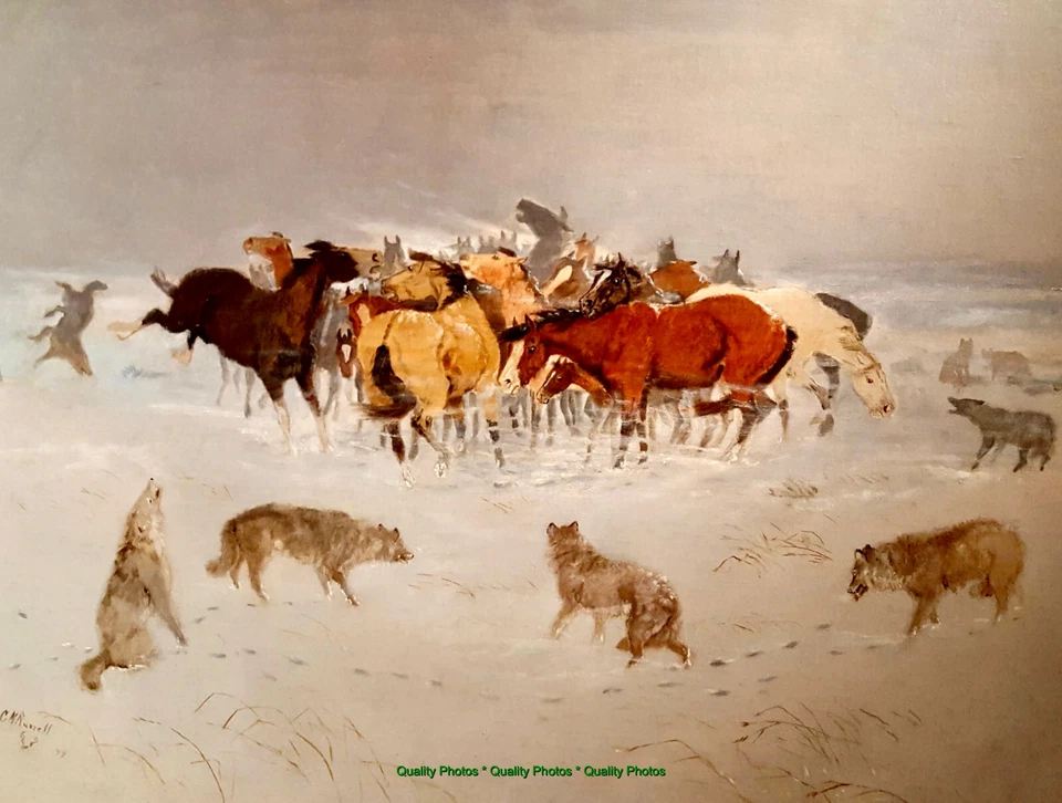 Flying Hoofs Wolves Attack Horses 8.5x11" Photo Print Russell Western Fine Art - Image 1 of 1