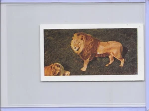 1958 Lion Horniman's Tea Wild Animals Card #32 Series of 48 - Picture 1 of 2