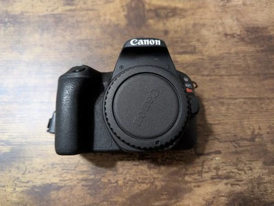 Cámara digital Canon EOS Rebel SL2 24,2 mega píxeles SLR - negra con 2 baterías + cargador Foto 1 de 4