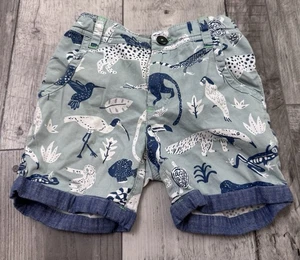 Mini Boden Boys Shorts 6Y Chino Animal Summer Grey Smart Zoo Turn Up Adjustable - Picture 1 of 9