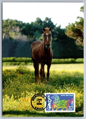 3895g Chinese Lunar New Year Horse FDC Maxi Card - Image 1 of 2