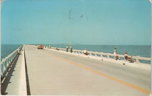 Postcard Sunshine Skyway Bridge St. Petersburg. FL People Fishing - Picture 1 of 2