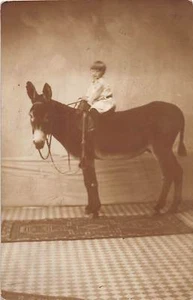 D92/ Donkey Animal Real Photo RPPC Postcard 1910 East Akron Ohio Child 19 - Picture 1 of 2