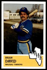 1983 Fritsch Wausau Timbers Brian David Wausau Timbers #6