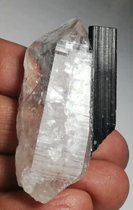 155 CARATS NATURAL GREEN CAP TOURMALINE AND QUARTZ PAKISTAN (I-190), - Picture 1 of 14