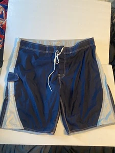 American Eagle Outfitters Blue Striped Swim Trunks Shorts Mens Size 42 - Picture 1 of 9