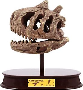 ArtCreativity Dinosaur Excavation Kit for Kids, Carnotaurus Skull Excavating Set