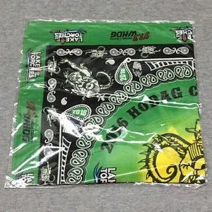 2016 Green Hodag Country Fest Festival 97.3 Lake Of The Torches Resort Bandana - Bild 1 von 6