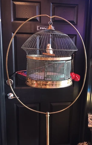 ANTIQUE BRASS BIRD CAGE WITH STAND 66” TALL PARAKEET STUDIO APT. 🦜 AS-IS Cover