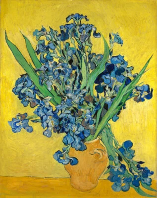 Irises by Vincent van Gogh Oil painting art Giclee printed on canvas L2401 - Image 1 of 4
