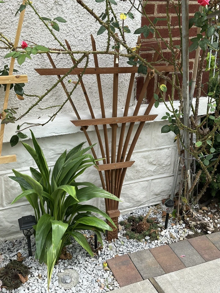 Enrejado de madera tratado a presión. De pie 5 pies de alto. Diferentes estilos... Foto 1 de 4