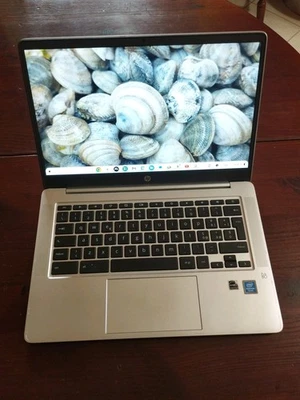 Chromebook hp 14 Laptop Intel Pentium N5030 8/128GB 14.0" FHD PlayStor - Immagine 1 di 4