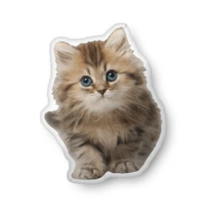 Realistic Cat Shape Pillow Plush Baby Kitty Cushion Home Decor Gift 10"16" 22" - Picture 1 of 10