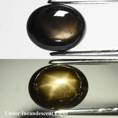 💎 3.28ct Oval Cabochon Natural Black 6 Ray Star Sapphire - Unheated, Thailand - Image 1 of 4