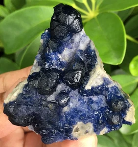 71 g Nuevo Encontrar Raro Natural Azul Profundo Fluorita sobre Cuarzo Blanco Muestras ip0715 - Imagen 1 de 12