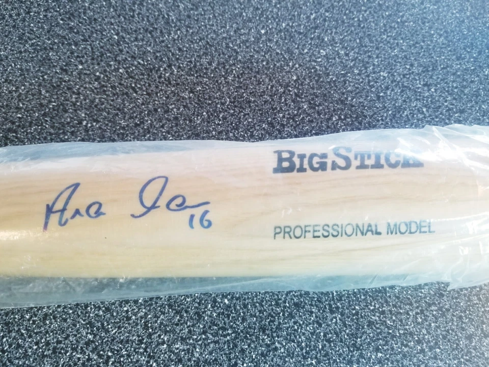 ARAMIS RAMIREZ 2011 EDITION MYSTERY BATS  FULL SIZE BAT AUTO JUST MINORS CUBS  - Image 1 of 4