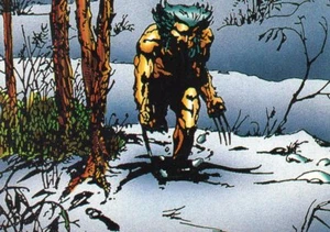 Wolverine 1992 Individual Trading Cards - Picture 1 of 91