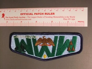 Flapa de quimiokemonia Boy Scout OA 226 3352 MM - Imagen 1 de 1
