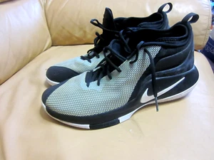 Nike LeBron Witness II Black White size 11.5 New No Box - Picture 1 of 6