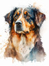 I Love My Irish Setter Dog Breed Watercolor Fridge Magnet - 2x3 Inch High-Definition Photo Quality Decoration