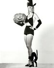 Adele Jergens posiert mit Halloween Kürbis & schwarzer Katze sexy Kostüm 8x10 Foto