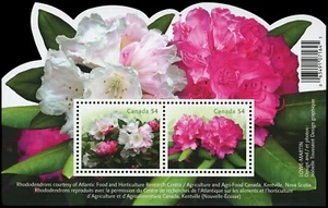 Canada Stamps Souvenir Sheet of 2, Rhododendrons, #2318 MNH - Picture 1 of 1