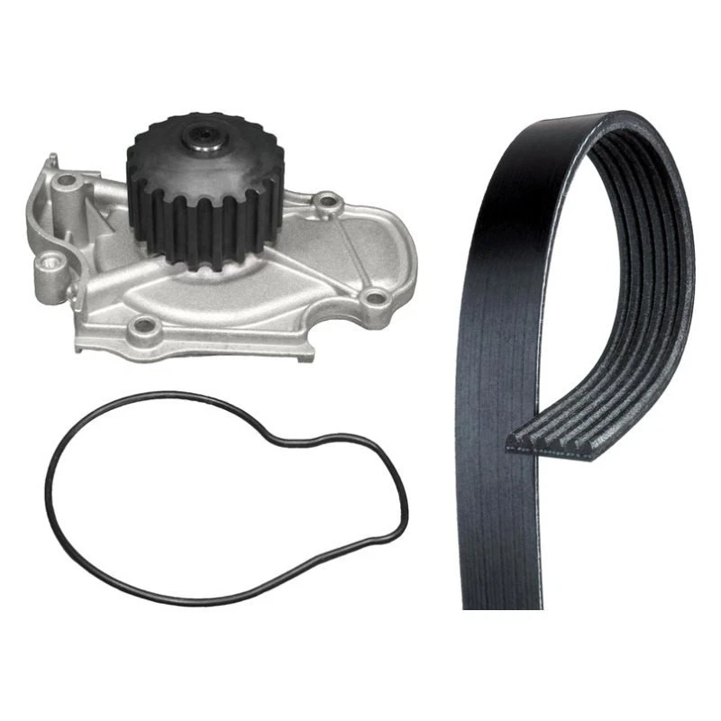 For Honda Prelude 93-96 Engine Coolant Water Pump and Serpentine Belt Kit Foto 1 de 2