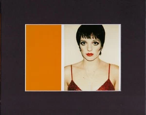 8X10" Matted Print Art Picture Andy Warhol: Liza Minnelli 1977, Polaroid - Picture 1 of 1