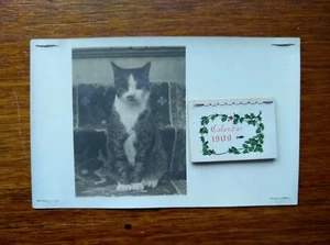 Antigua postal CYKO sin usar con fotografía de gato y calendario completo de 1909 - Imagen 1 de 6
