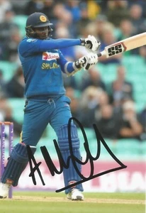 SRI LANKA CRICKET: ANGELO MATHEWS FIRMADO 6x4 FOTO DE ACCIÓN ODI + CERTIFICADO DE AUTENTICIDAD - Imagen 1 de 1