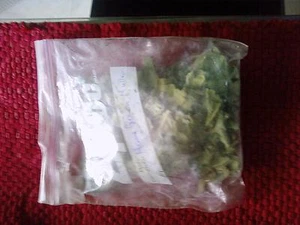 Mullein in any size package - Picture 1 of 3