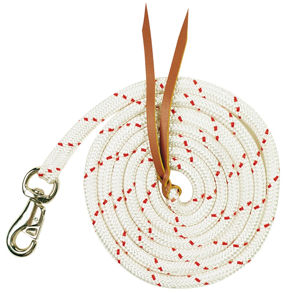 Horsemanship Training Lead Rope Horse Dog Yachting Stables Gear 16Mmx 3Mt 10' - image 1 of 1