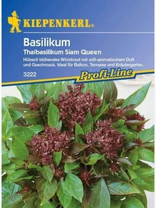 Thaibasilikum " Siam Queen " Basilikum ca. 150 Samen, 3198 Kräuter - Bild 1 von 2