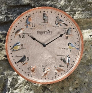 Smart Garden Birdberry Clock - Picture 1 of 1